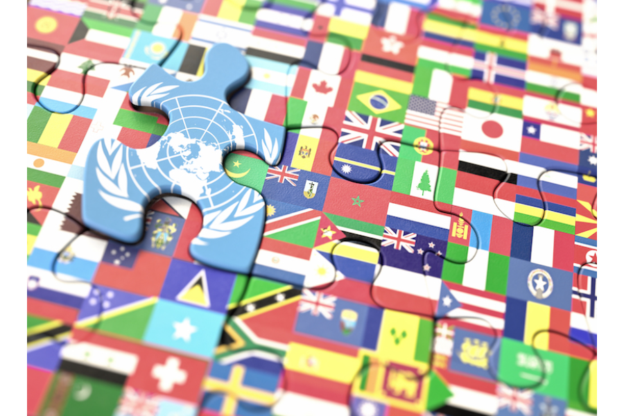 Tratados sobre Inversión Extranjera y Derechos Humanos